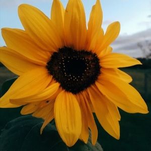 Meet your Posher, Macy